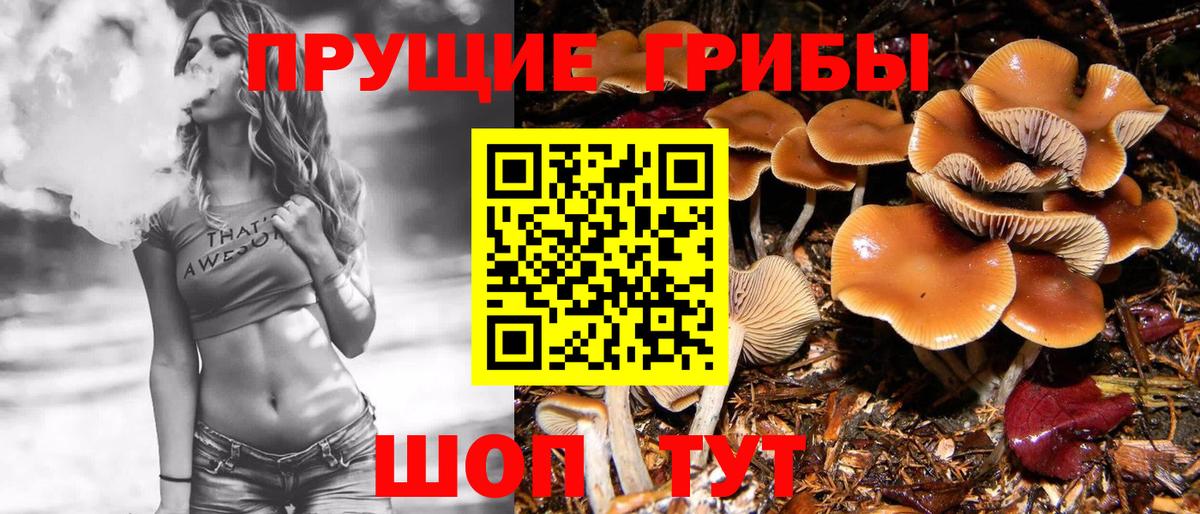 Мирный  Галлюциногенные грибы ЛСД  закладки  Вход с VPN 